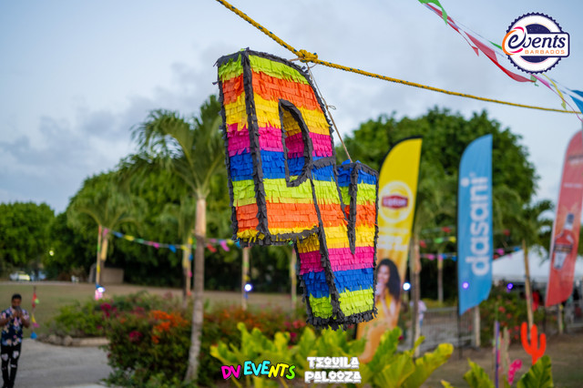Despicable Vibes 2024, photograph 5