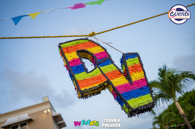 Despicable Vibes 2024, photograph 4