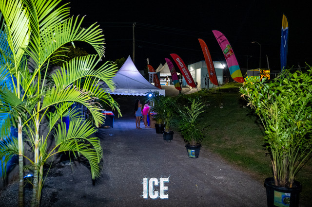 Ice | 2025, photograph 14