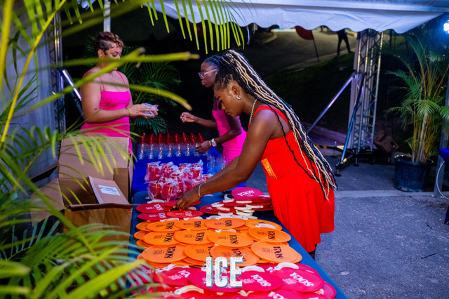 Ice | 2025, photograph 8