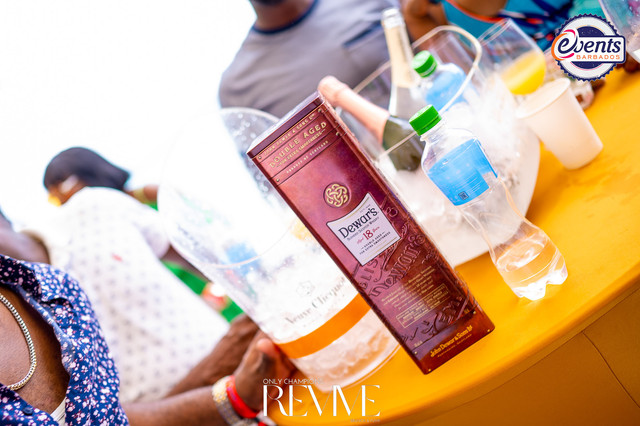 Revive | 2022, photograph 19